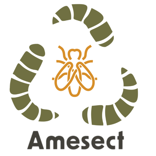 Amesect | Black Soldier Fly Farms | Logo