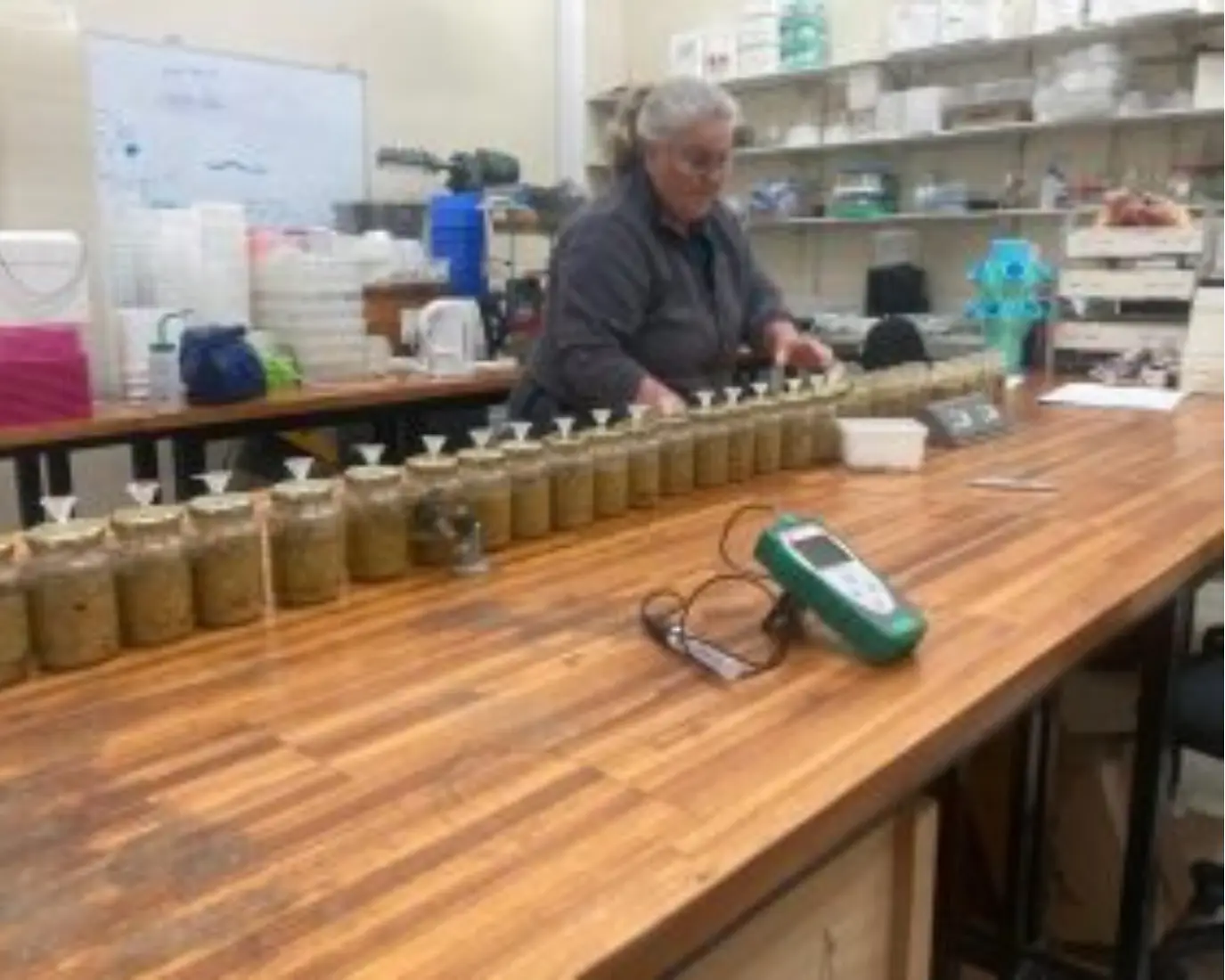 Dr Elsje in Amesect Lab